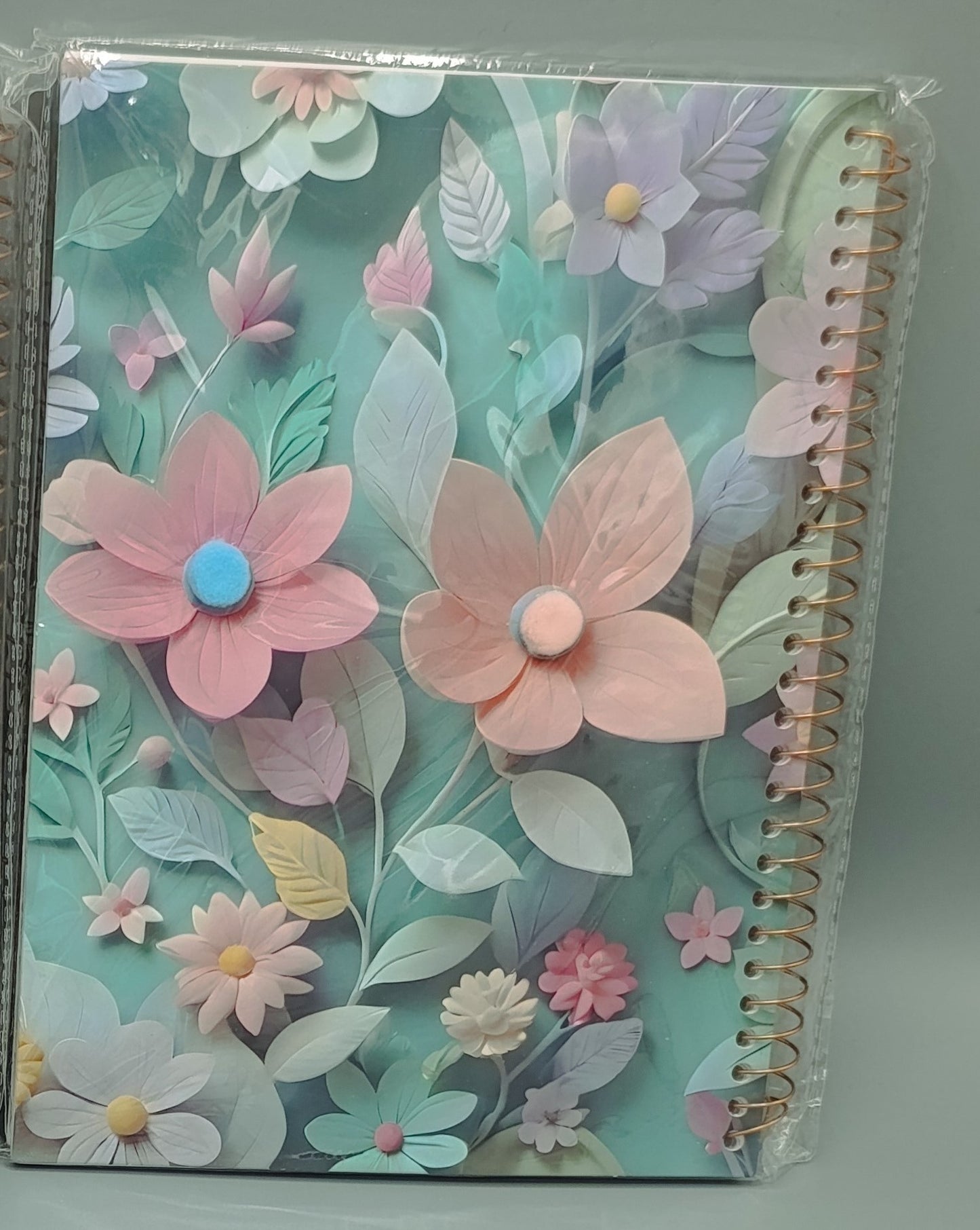 ✨ New In: 3D Themed Cute Diary 📔🌈