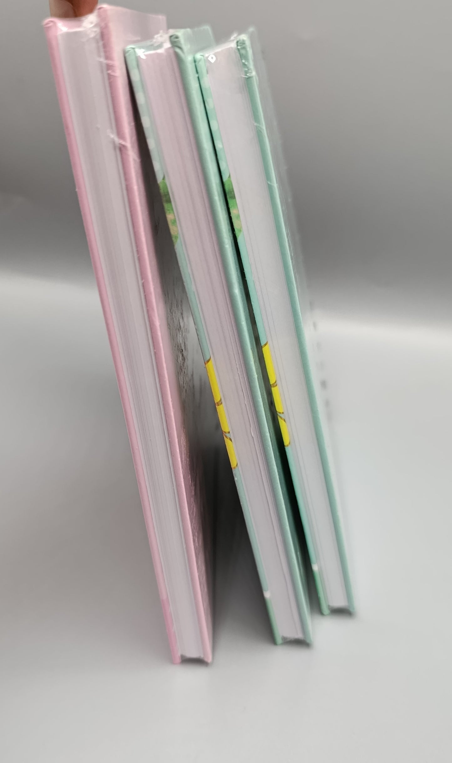 🦄Unicorn Dreams Diary 🦄